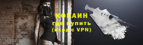 дурь Гусев