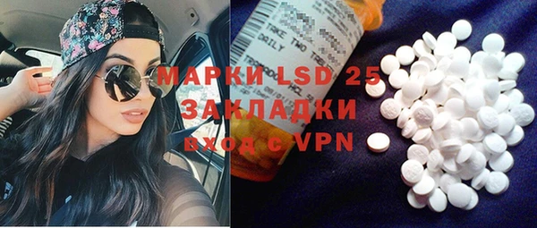 стафф Новокубанск