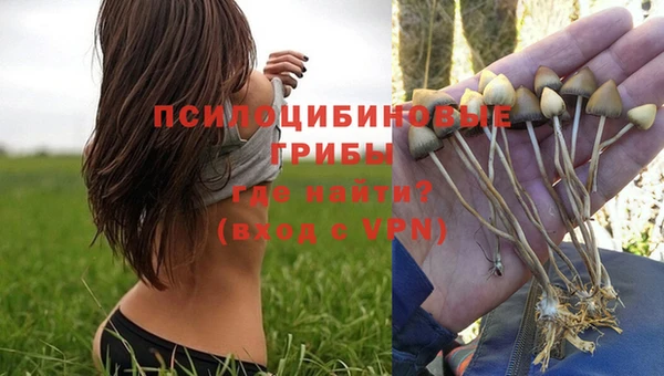 гашишное масло Гусь-Хрустальный