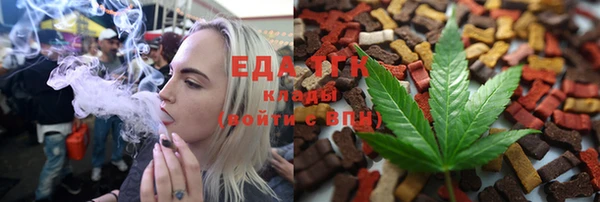 дурь Гусев