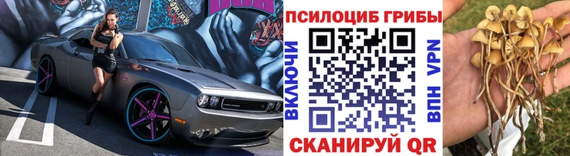 Псилоцибиновые грибы Cubensis  мега ссылки  Обь 